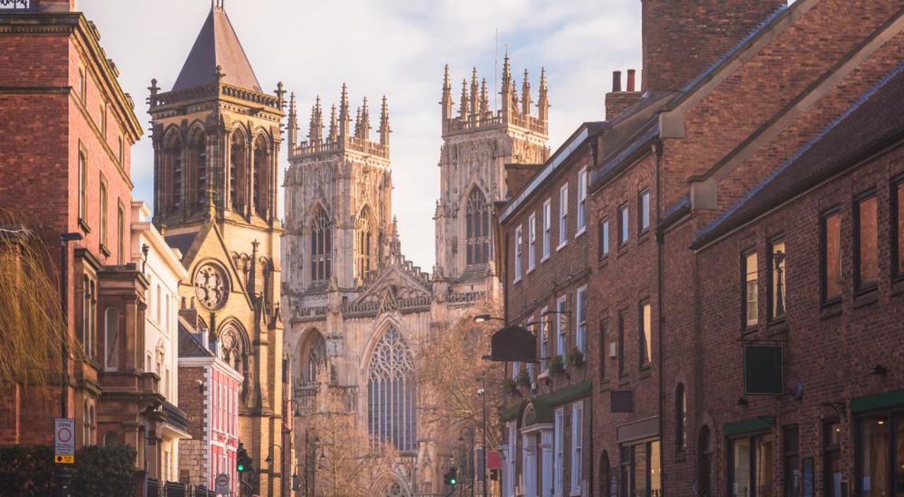 York Cropped