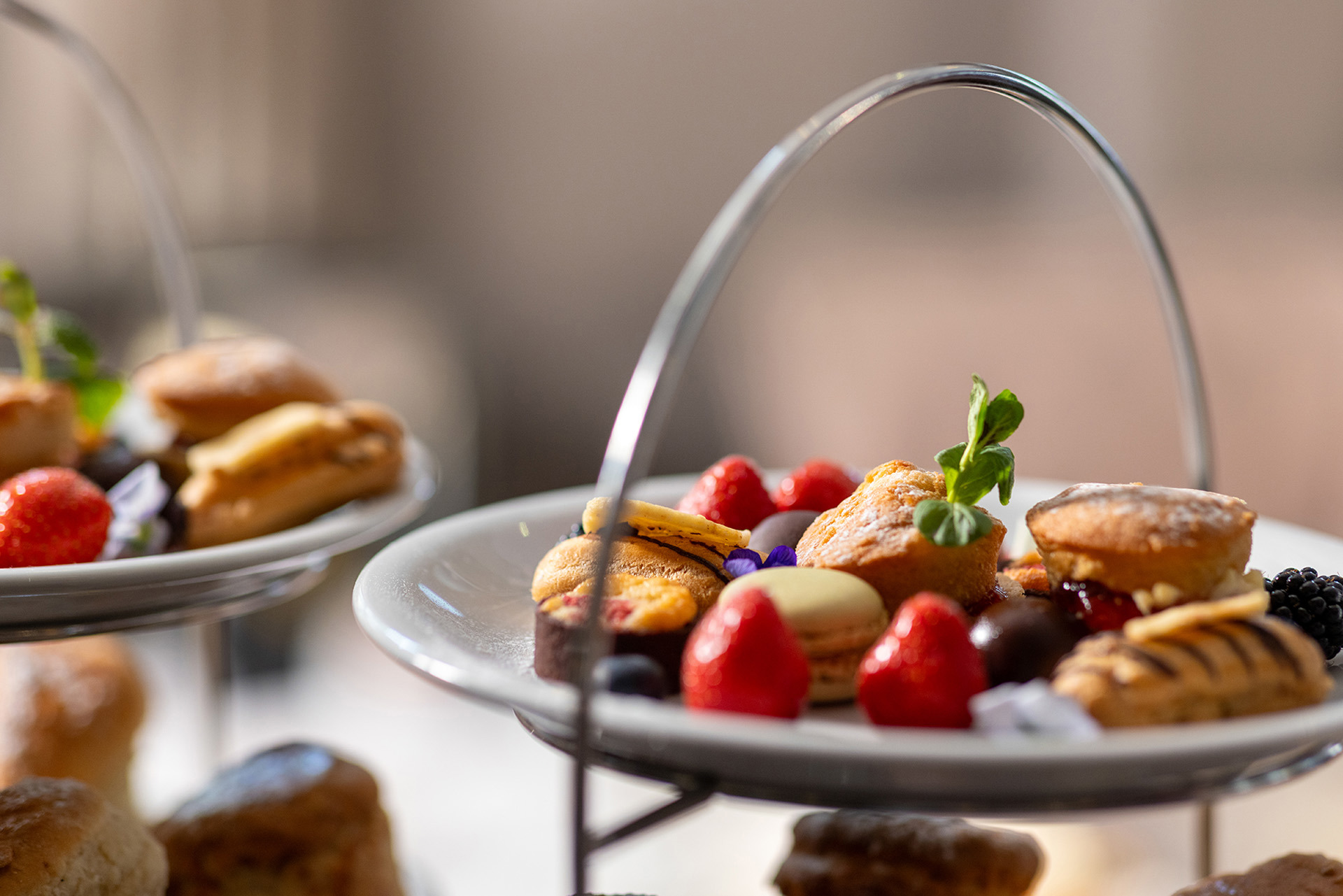 Packages Page Header