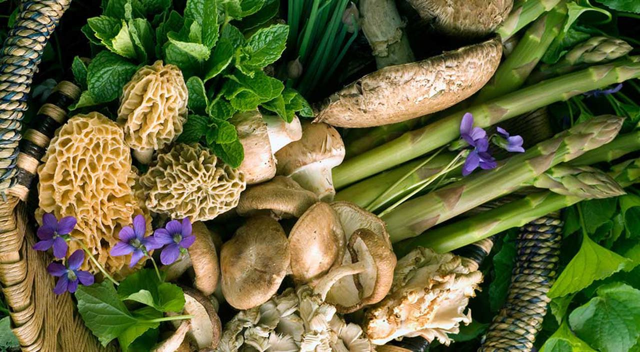 Foraging