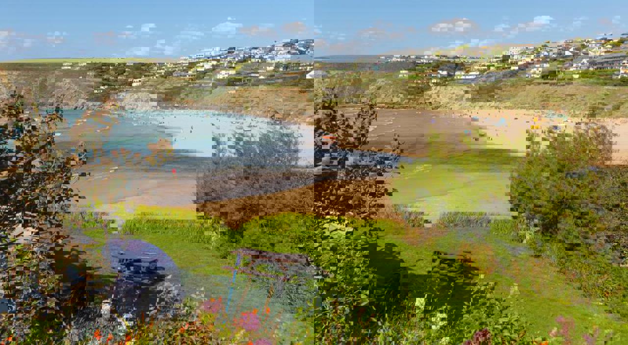 Porth Beach Crop