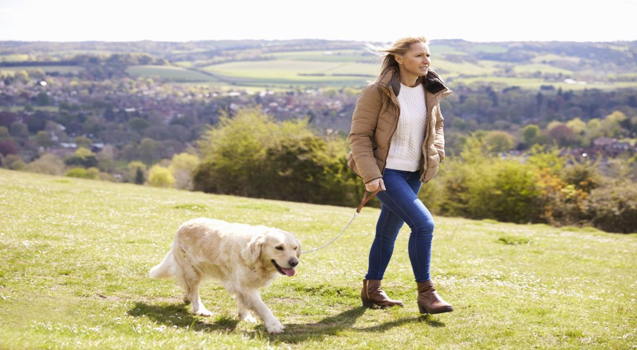 Top Dog Walks In Spalding
