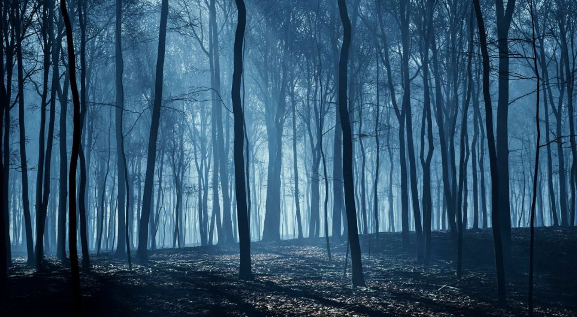 Haunted hotels and their ghost stories