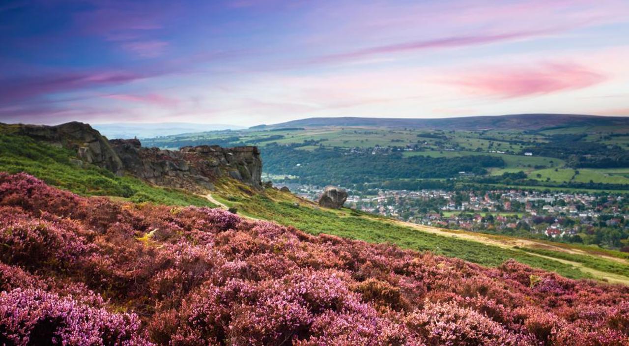 Ilkley Site