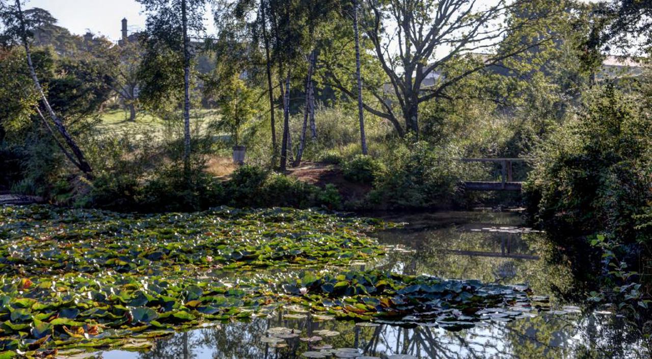 Chilworth Manor Grounds