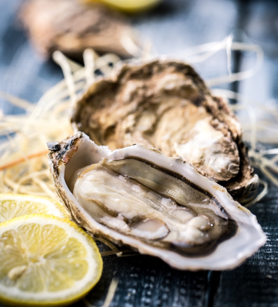 Oysters