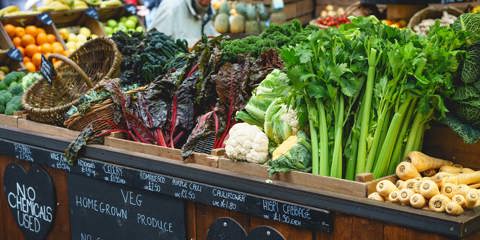 Outdoor Markets Header