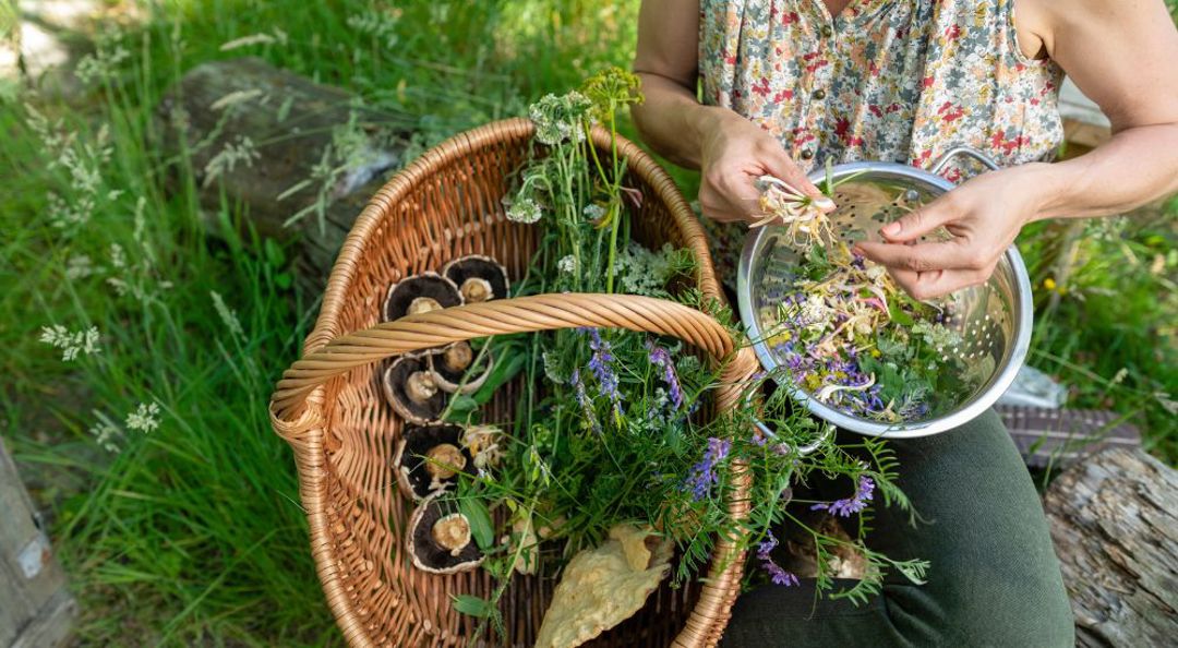 Wild Cooking