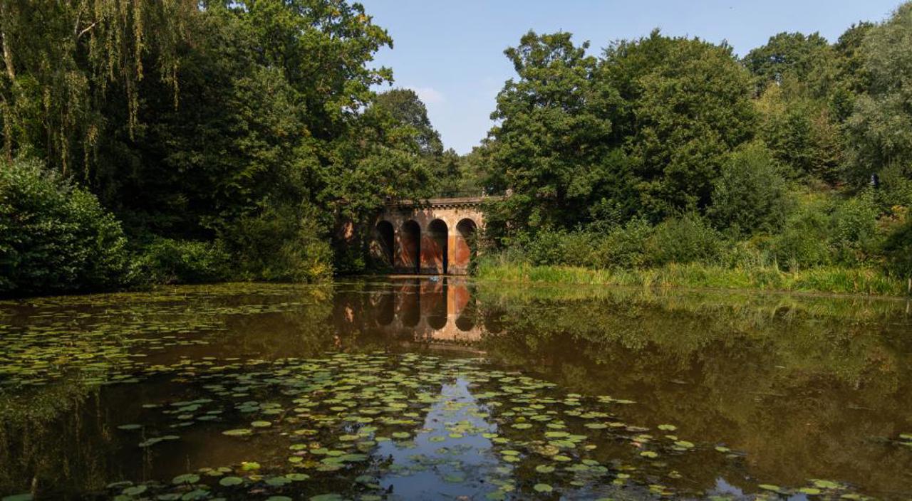 Hampstead Heath