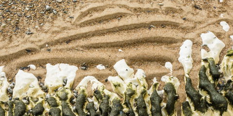 A Shore Thing