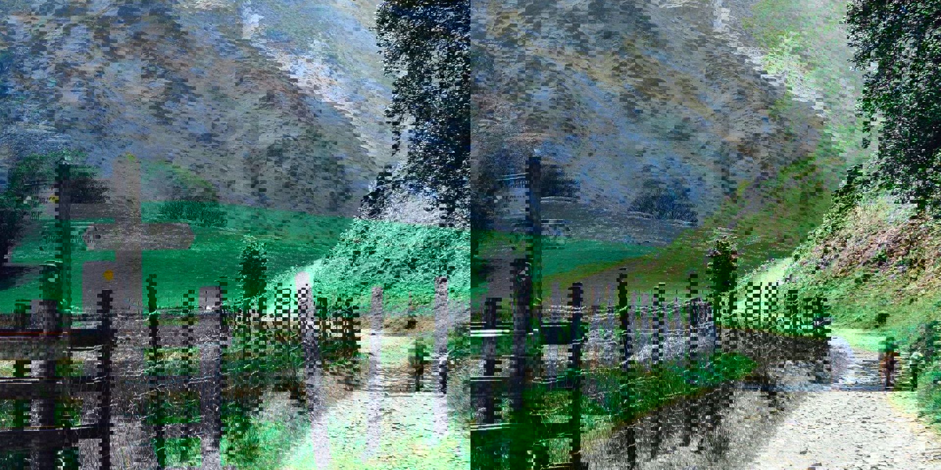 Call Of The Wild