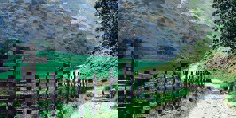 Header4e82e07a8ce469abb38eff010092c40e
