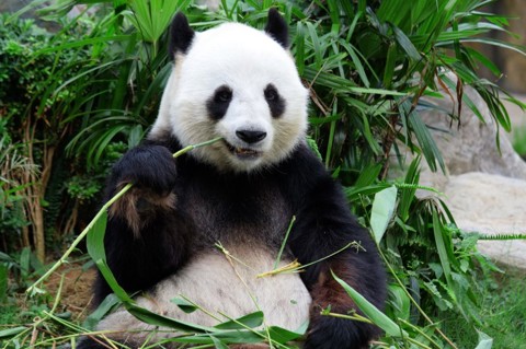 Bristol Zoo Gardens Uk