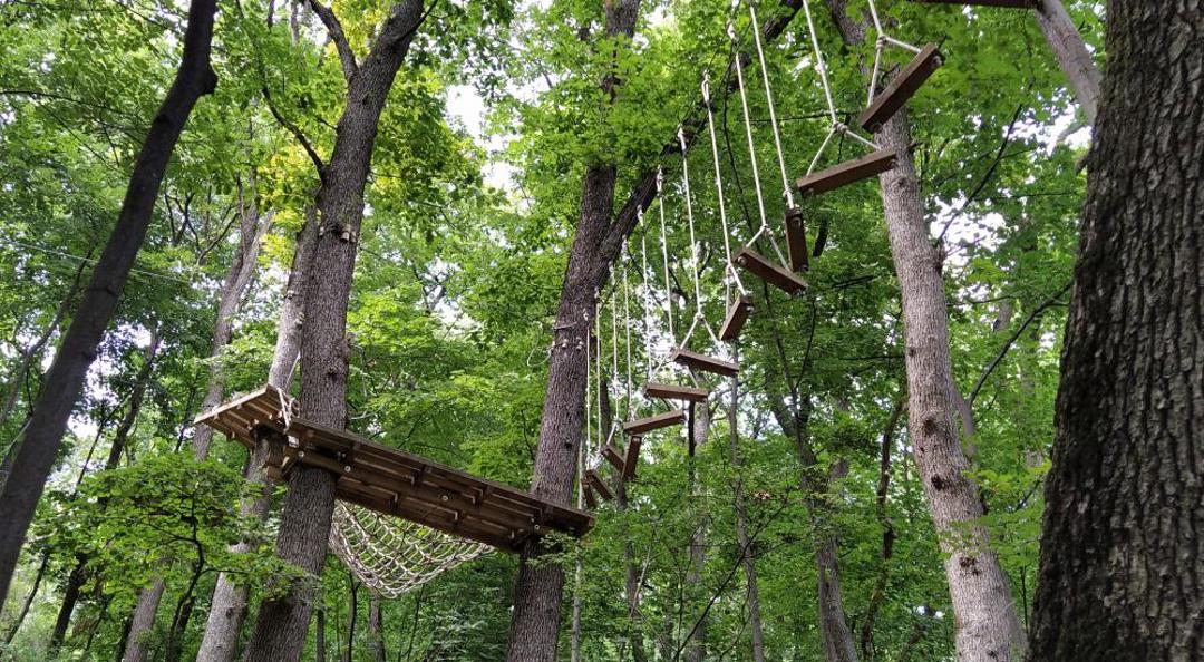 Go Ape