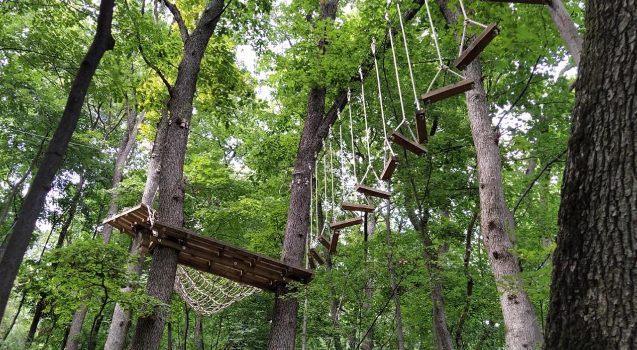 Go Ape
