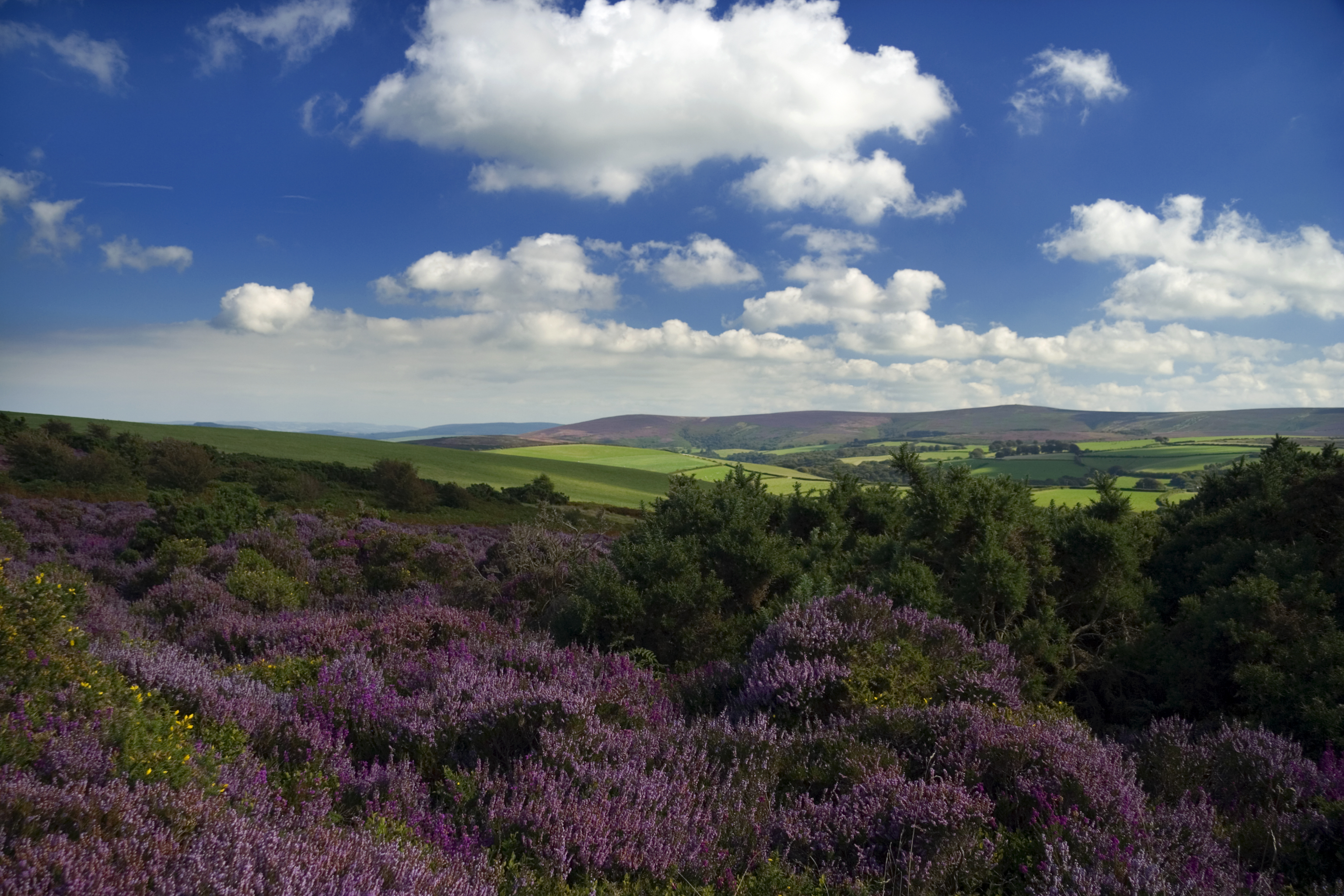Hotels in the Exmoor National Park, United Kingdom from Best Western Hotels
