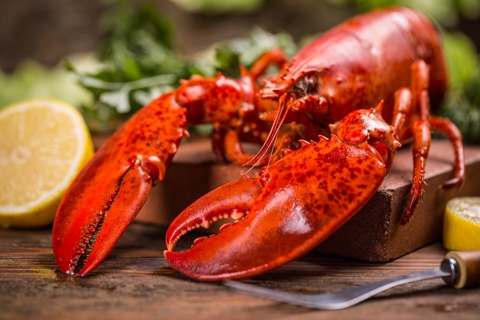 Lobster
