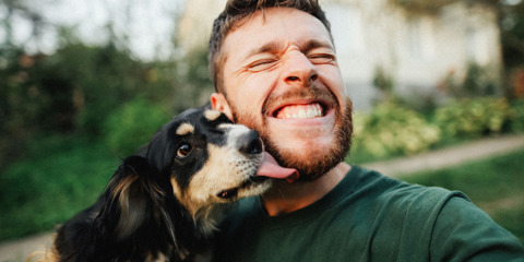 Pet Friendly