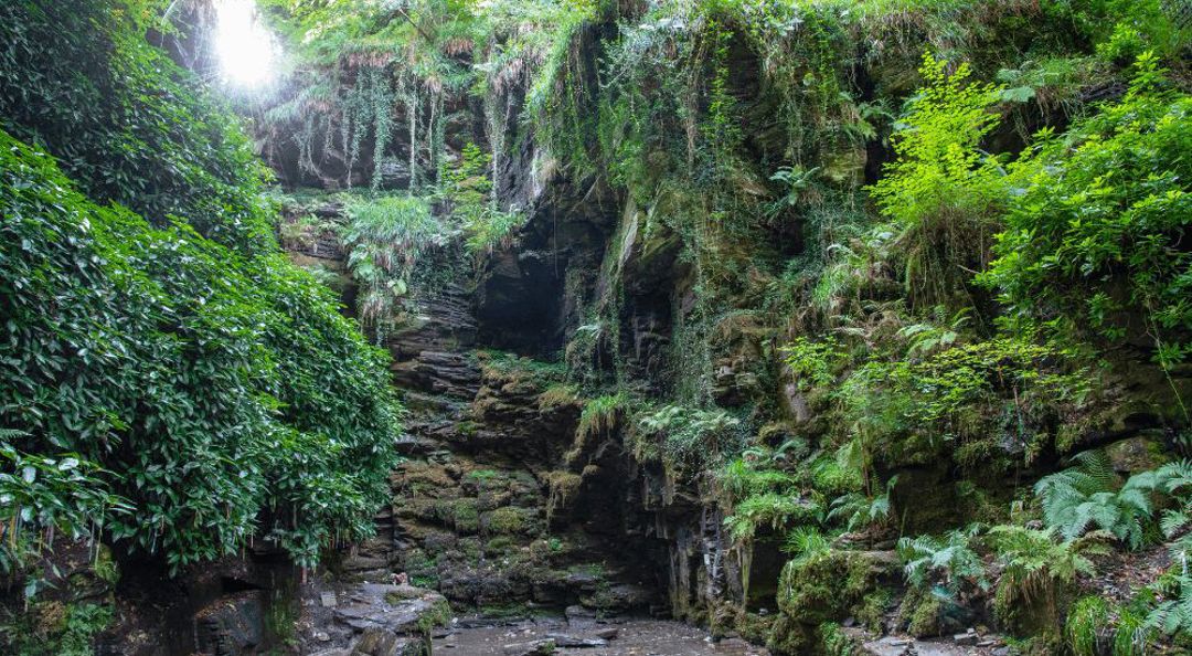 St Nectans Glen