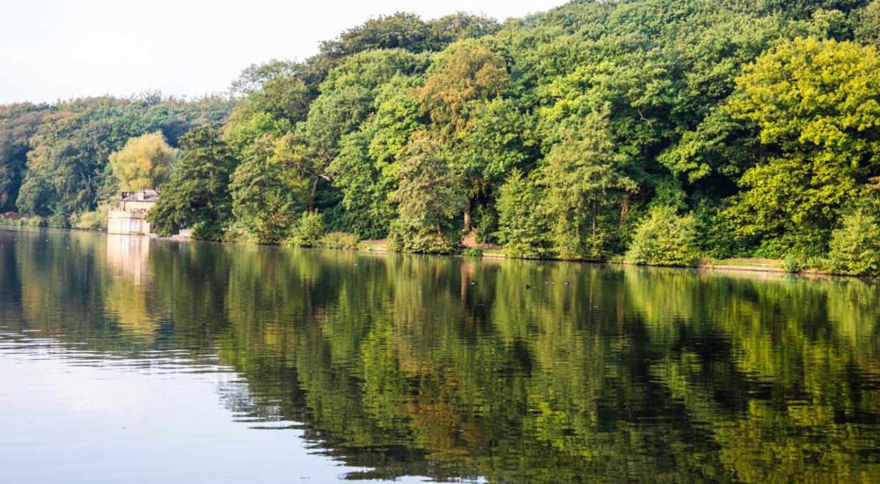 Newmillerdam Lake Uk Swap