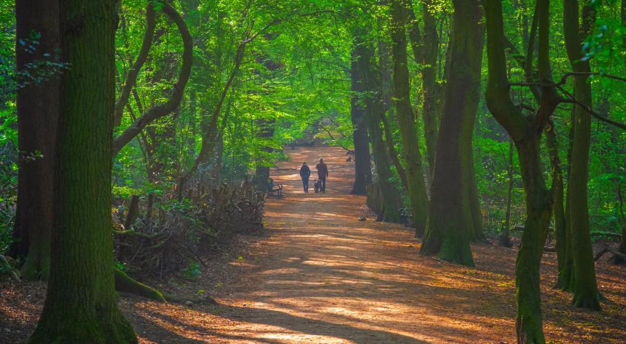 Highgate Cemetery London