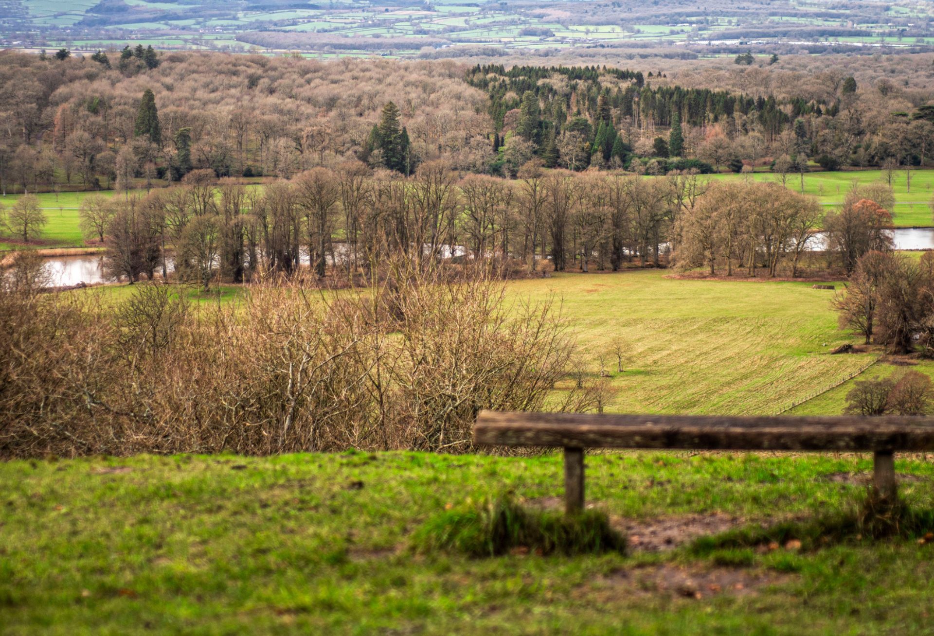 Hotels near Longleat Safari Park, England from Best Western Hotels
