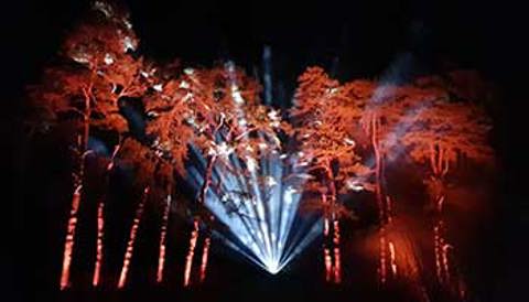 Tread An Enchanted Christmas Trail
