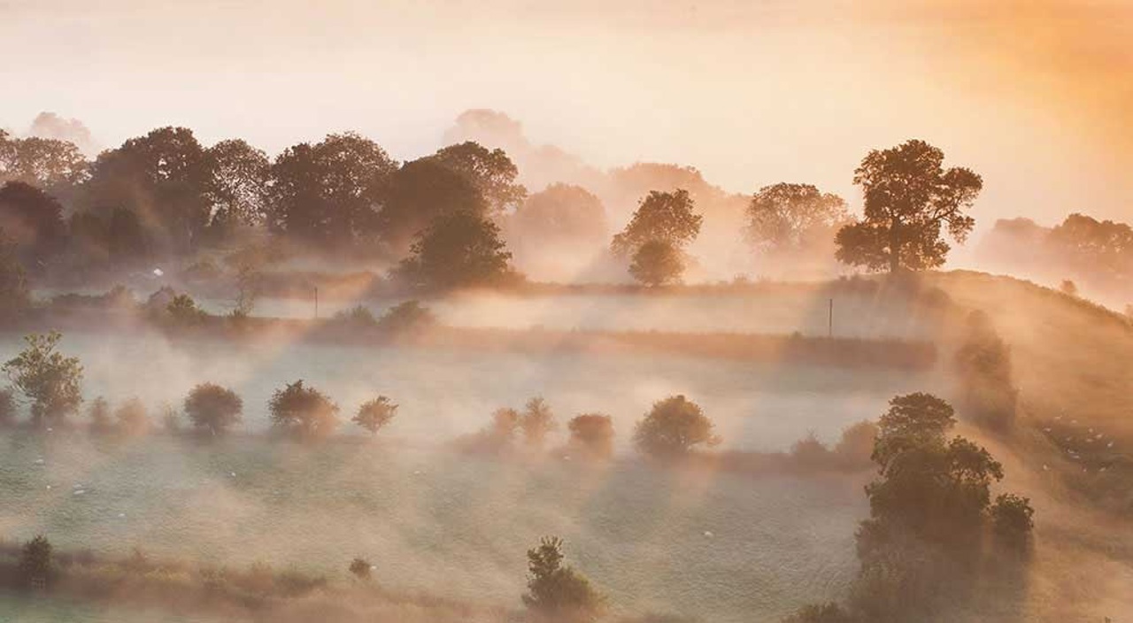 Somerset Levels