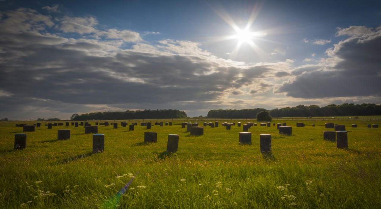 Woodhenge