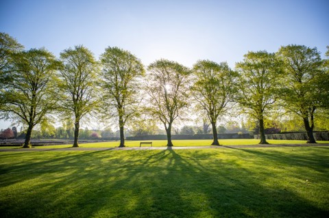 Abbey Park