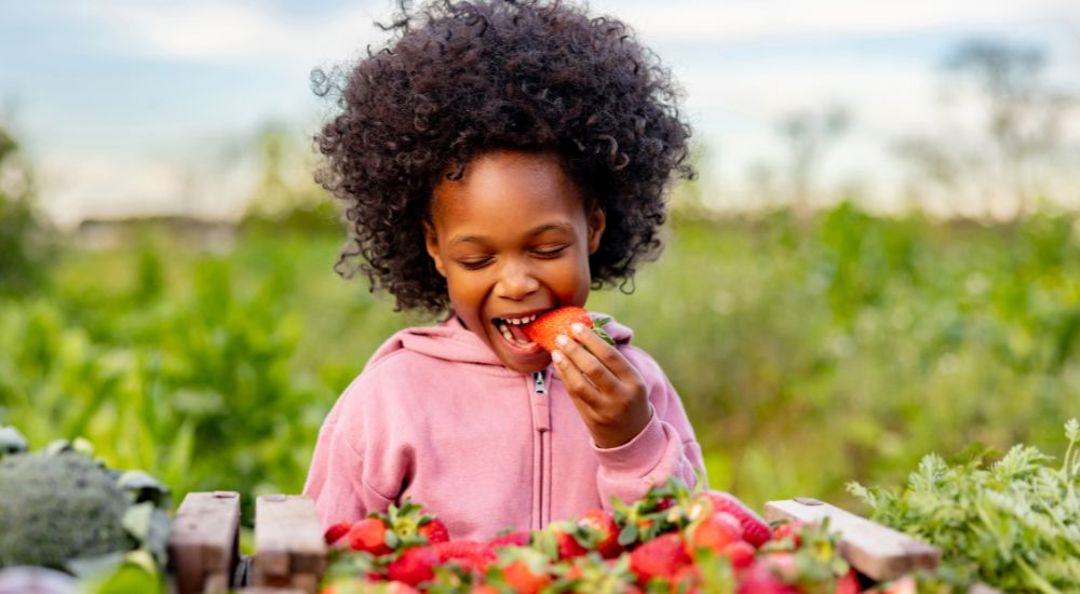 Fruit Picking
