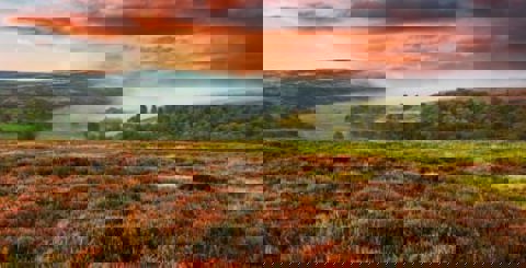 Yorkshire Breaks