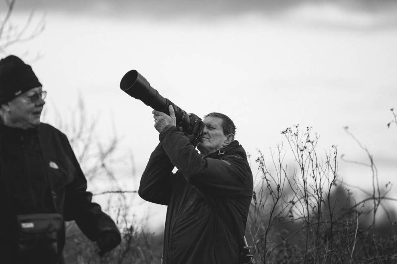 Starling Bird Photographer