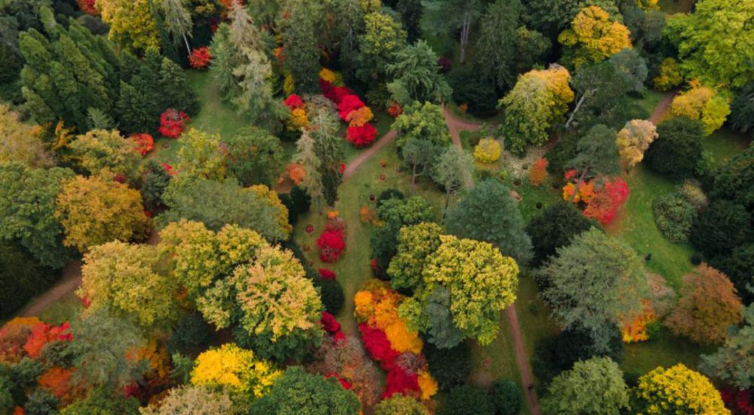 Westonbirt Arboretum