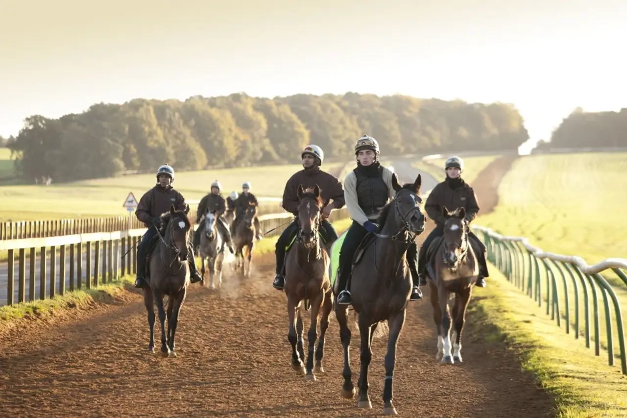 Warren Hill (Heath) Winter