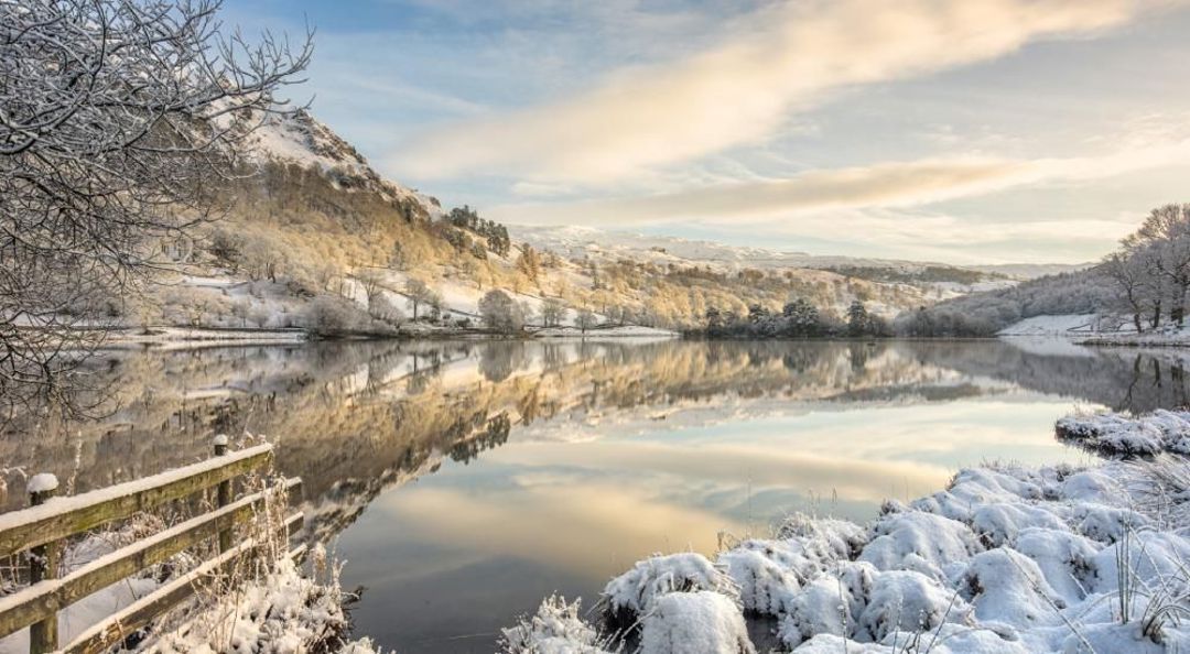 Winter Wonderland