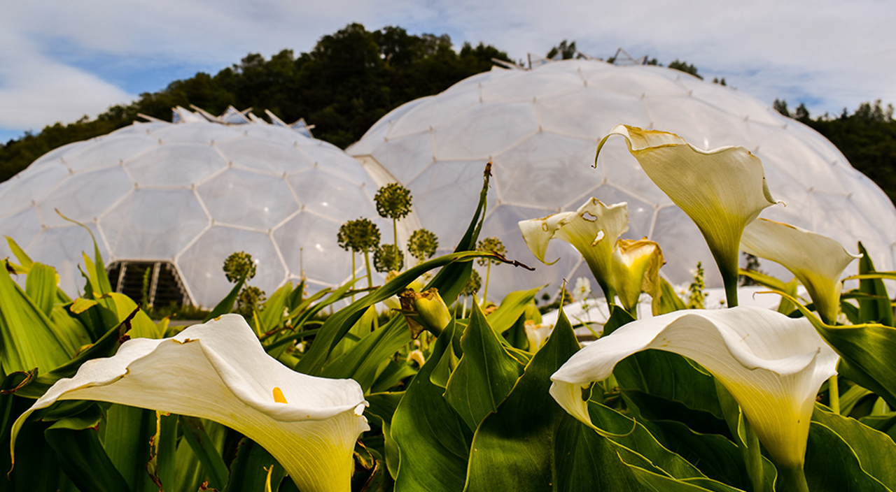 Eden Project