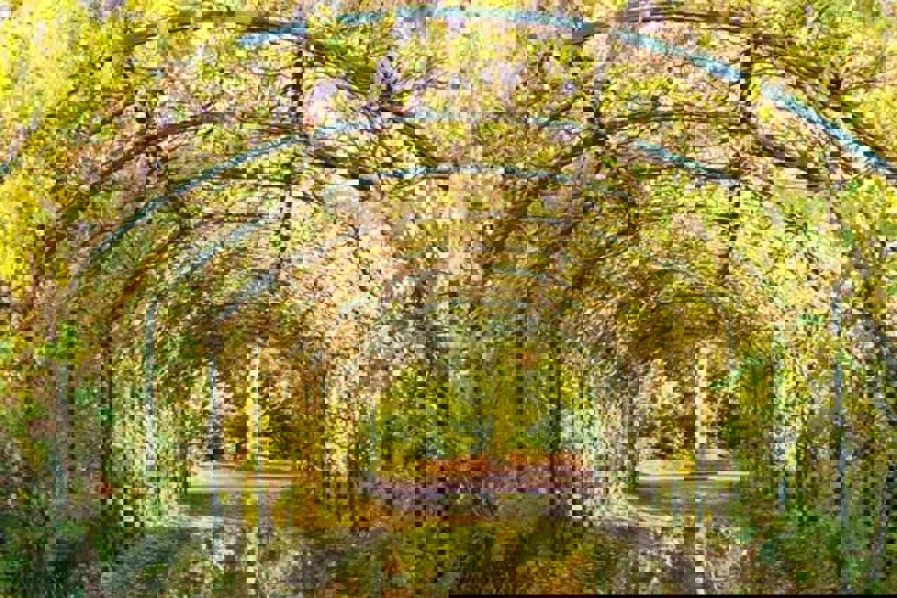 Walkden Gardens Manchester