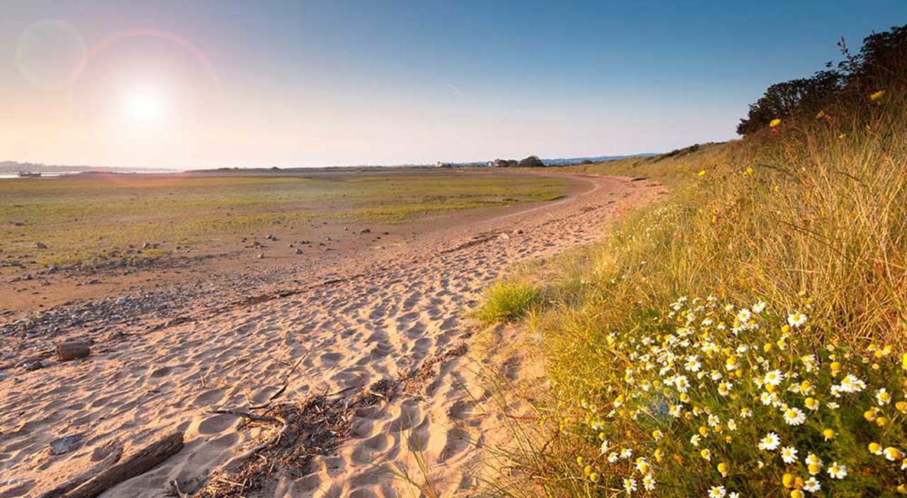 Exe Estuary Trail Devon
