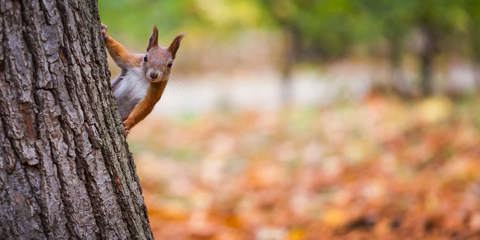 5 British Beauty Spots Best Seen In Autumn