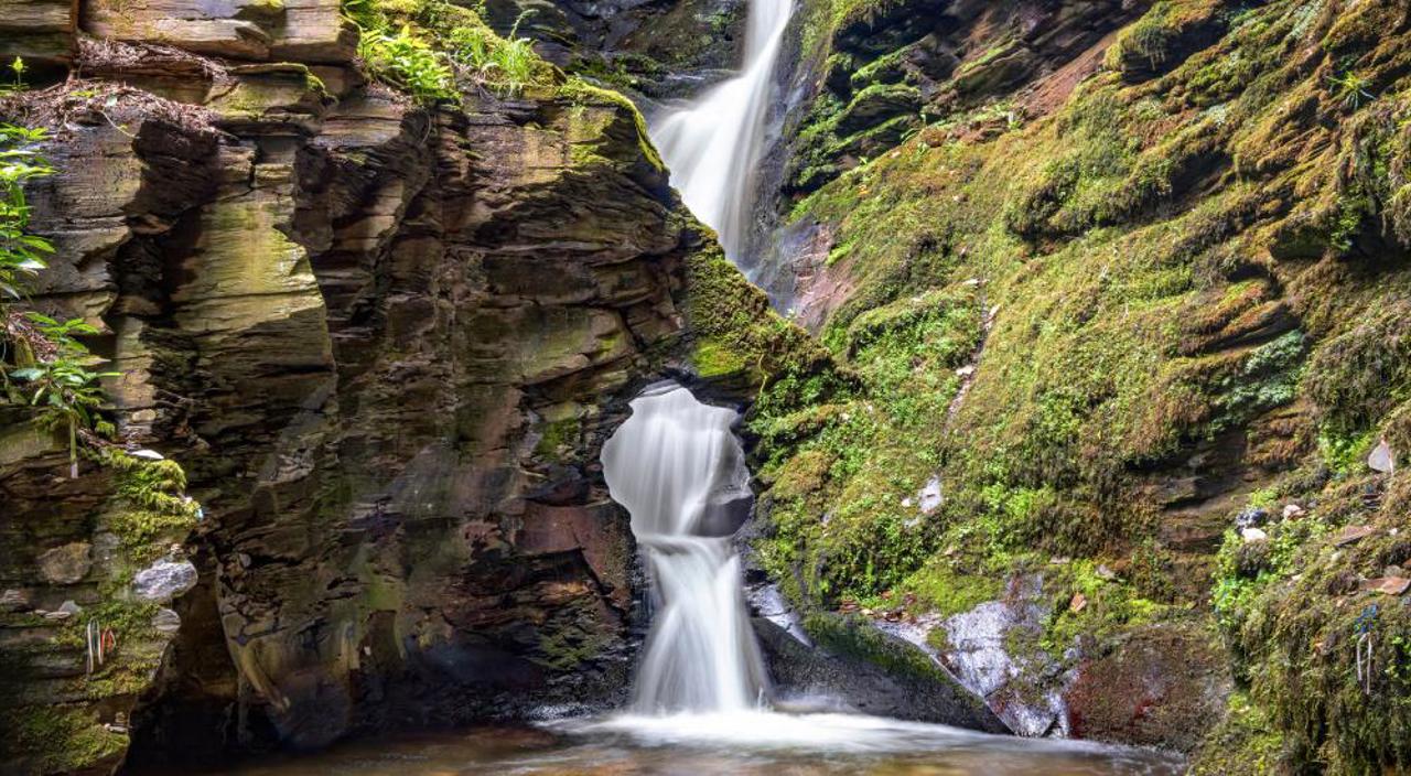 St Nectans Glen (1)