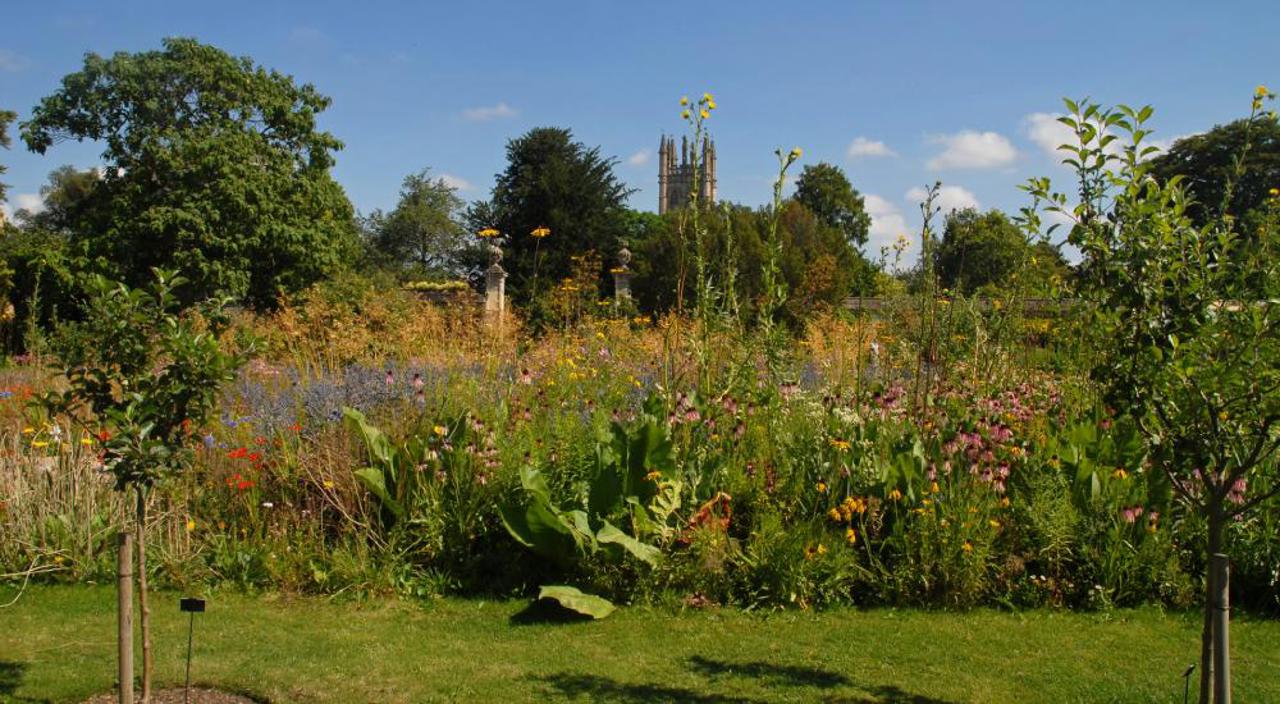 Oxford Botanic Gardens Uk Swap